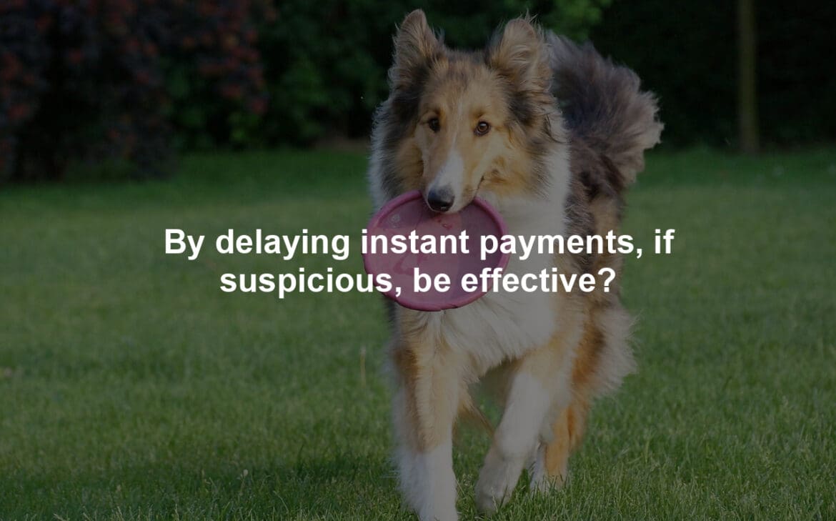 By delaying instant payments, if suspicious, be effective?