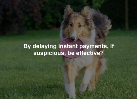 By delaying instant payments, if suspicious, be effective?