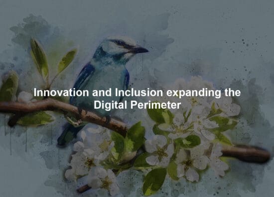 Innovation and Inclusion expanding the Digital Perimeter