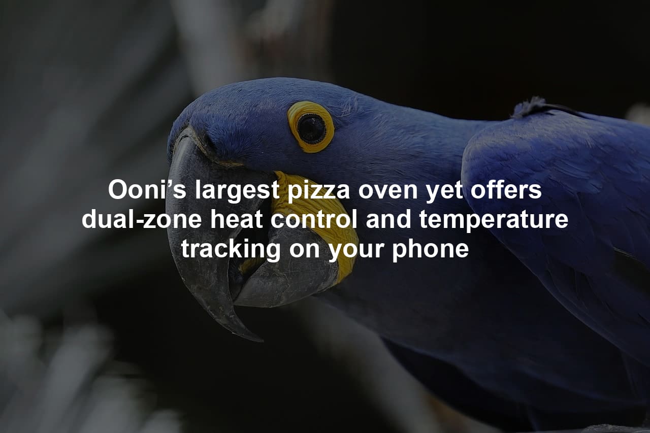 Ooni’s largest pizza oven yet offers dual-zone heat control and temperature tracking on your phone