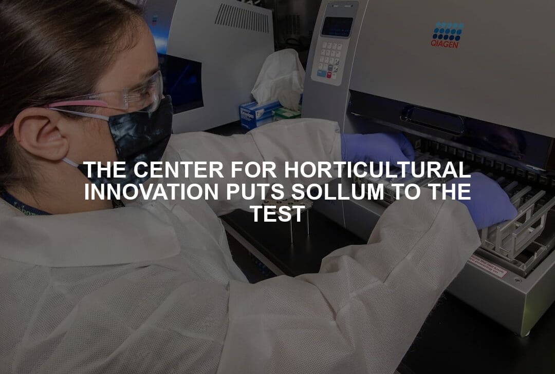 THE CENTER FOR HORTICULTURAL INNOVATION PUTS SOLLUM TO THE TEST