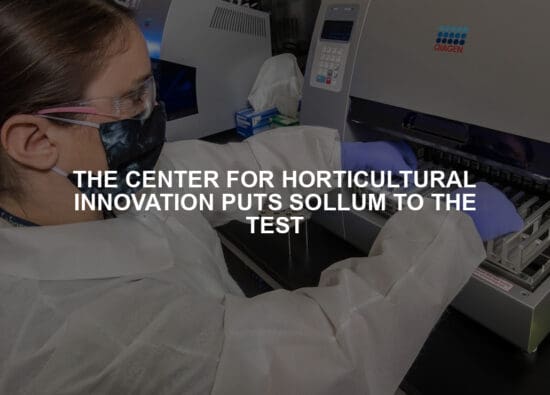 THE CENTER FOR HORTICULTURAL INNOVATION PUTS SOLLUM TO THE TEST