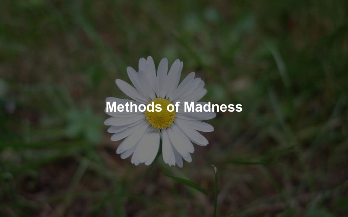 Methods of Madness