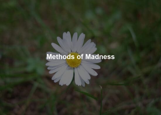 Methods of Madness