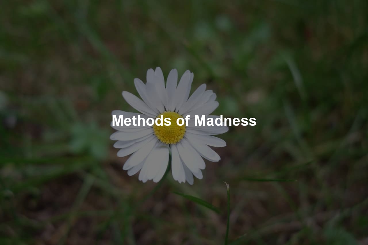 Methods of Madness